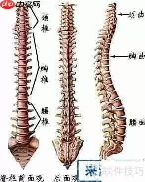 学好医学的方法和建议