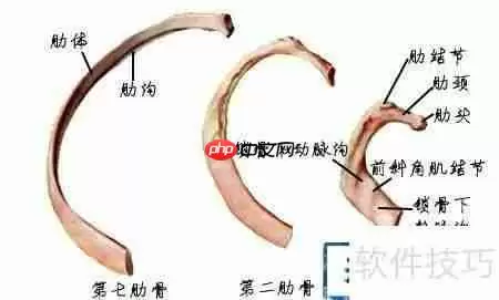 学好医学的方法和建议