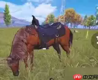 和平精英马在哪里