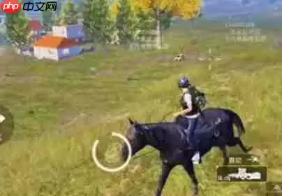 和平精英马在哪里