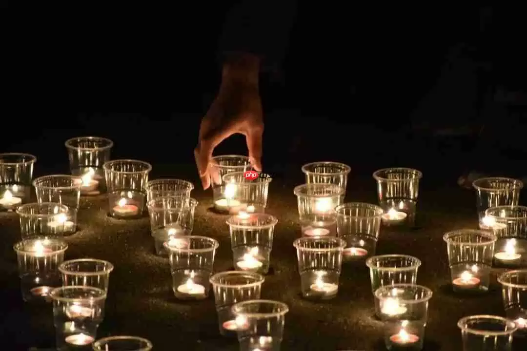 明日方舟12月6日为什么停服-明日方舟2022年12月6日停服公告