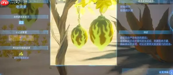 塞尔达传说王国之泪电流果在哪-电流果位置一览