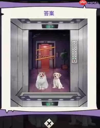 动脑我最牛深夜电梯怎么过-深夜电梯攻略