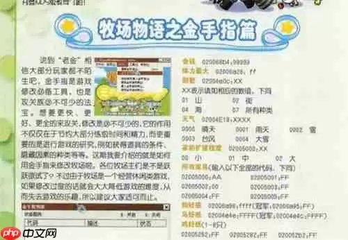 牧场物语矿石镇的伙伴们金手指代码有哪些-金手指大全