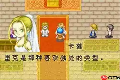 牧场物语矿石镇的伙伴们金手指代码有哪些-金手指大全