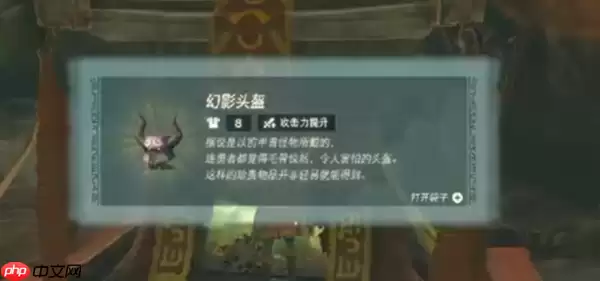 塞尔达传说王国之泪幻影套和鬼神套哪个好-幻影套和鬼神套选择攻略