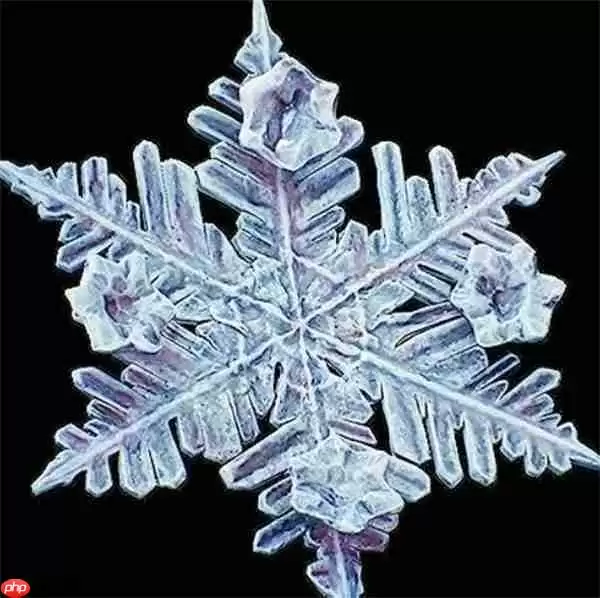 冰封利刃降临!光与影33号远征队吕涅雪结终极获取指南