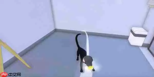 小猫咪大城市饭团帽怎么获得-小猫咪大城市饭团帽获取方法分享