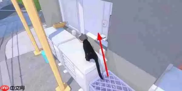 小猫咪大城市饭团帽怎么获得-小猫咪大城市饭团帽获取方法分享