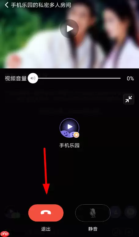 在微光里如何使用连麦模式进行语音聊天？连麦模式进行语音聊天使用方法介绍