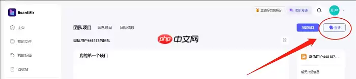 BoardMix怎么邀请成员?