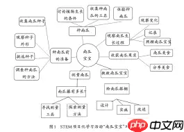 如何引导学生选择适合项目化学习的工具