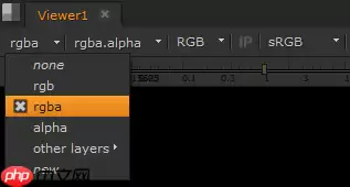 Nuke11的视图面板通道是什么意思？Nuke11的视图面板通道的详解