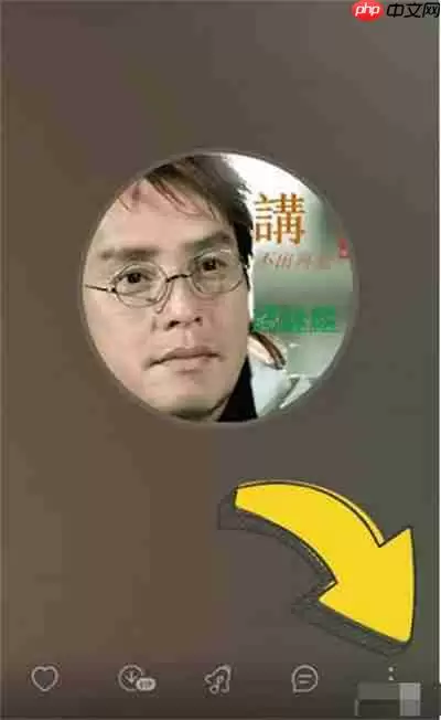 网易云音乐怎么开启灯光闪烁功能