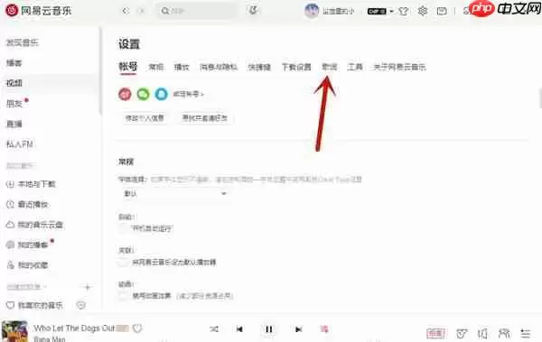 网易云音乐怎么在软件中显示歌词