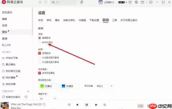网易云音乐怎么在软件中显示歌词