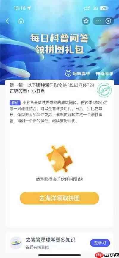 支付宝神奇海洋4.17日答案一览