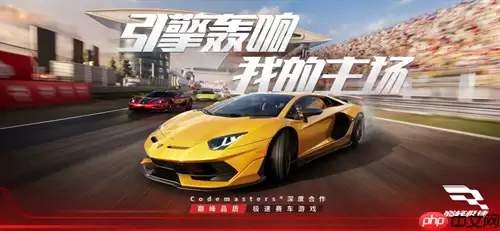 巅峰极速新手操控设置攻略