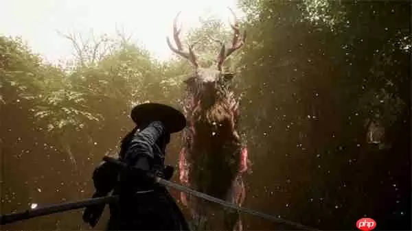 宝可梦团队类魂新作《轮回之兽》上架Steam 支持中文