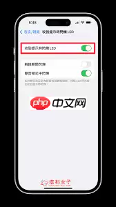 iPhone13如何开启来电闪光提醒