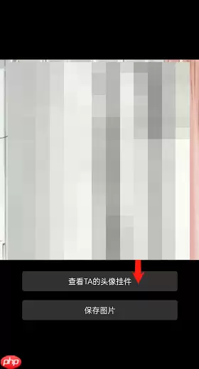 哔哩哔哩他人头像挂件怎么查询