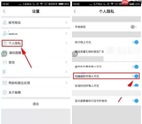 敢聊APP怎么将在线状态隐藏？将在线状态隐藏的技巧分享