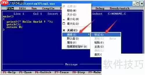 Turbo C 2.01完美教程：从入门到精通