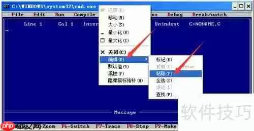 Turbo C 2.01完美教程：从入门到精通
