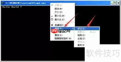 Turbo C 2.01完美教程：从入门到精通