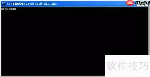 Turbo C 2.01完美教程：从入门到精通