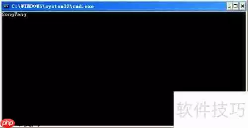 Turbo C 2.01完美教程：从入门到精通