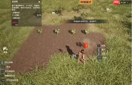 荒野起源饰品获取途径有哪些-荒野起源饰品获取方法分享