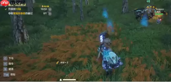 荒野起源饰品获取途径有哪些-荒野起源饰品获取方法分享