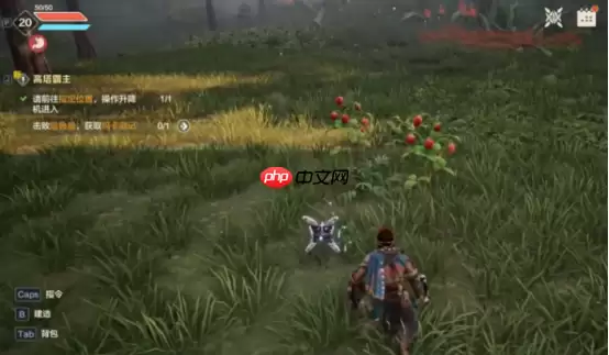 荒野起源饰品获取途径有哪些-荒野起源饰品获取方法分享