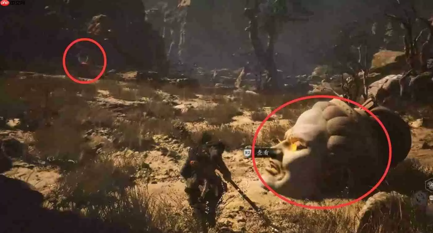 黑神话悟空6个佛目珠获取位置一览