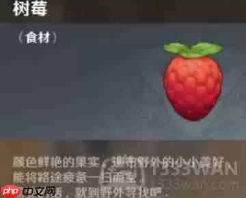 心动小镇树莓位置具体在哪-心动小镇树莓具体位置一览