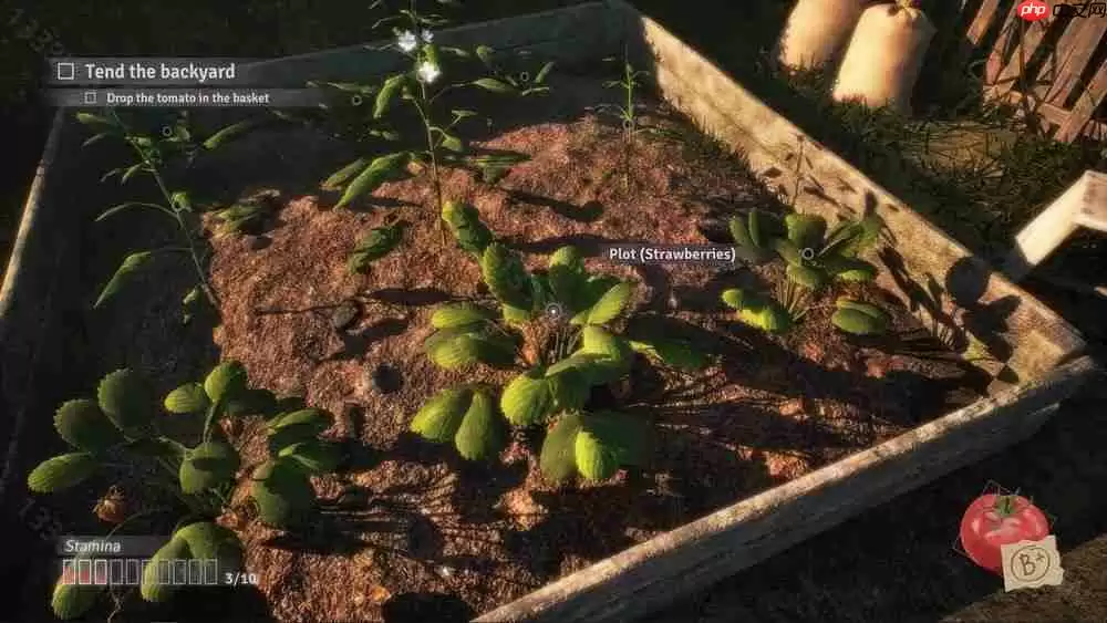 《心跳文学社》团队打造新作《破碎花朵 Fractured Blooms》 从重复循环生活中努力追求开花结果