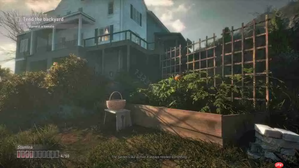 《心跳文学社》团队打造新作《破碎花朵 Fractured Blooms》 从重复循环生活中努力追求开花结果