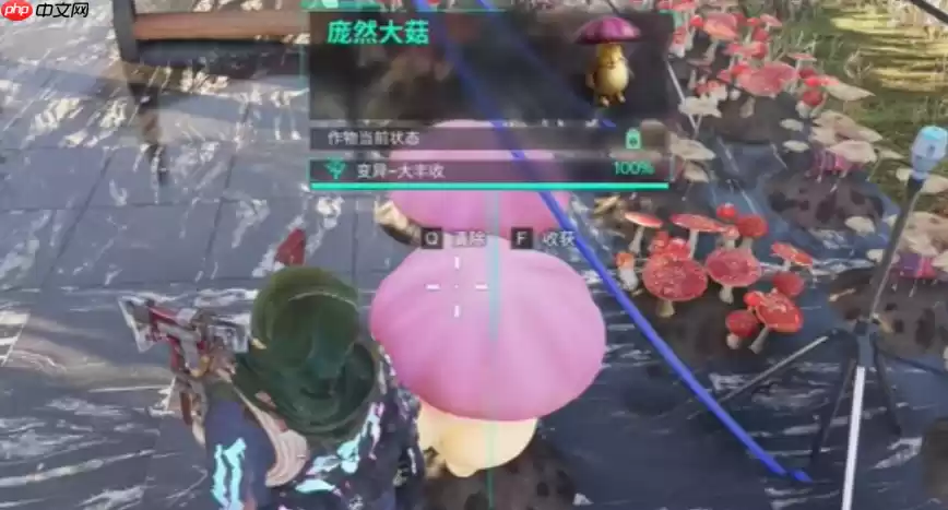 七日世界庞然大菇怎么获取-七日世界庞然大菇获得方法分享