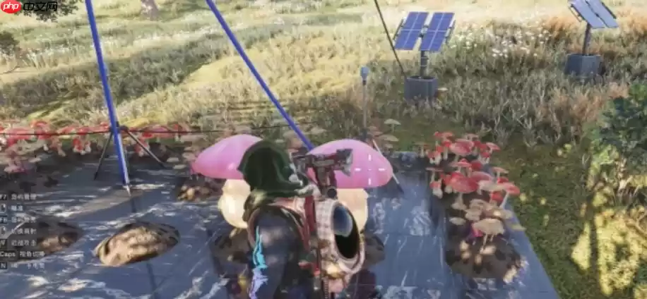 七日世界庞然大菇怎么获取-七日世界庞然大菇获得方法分享