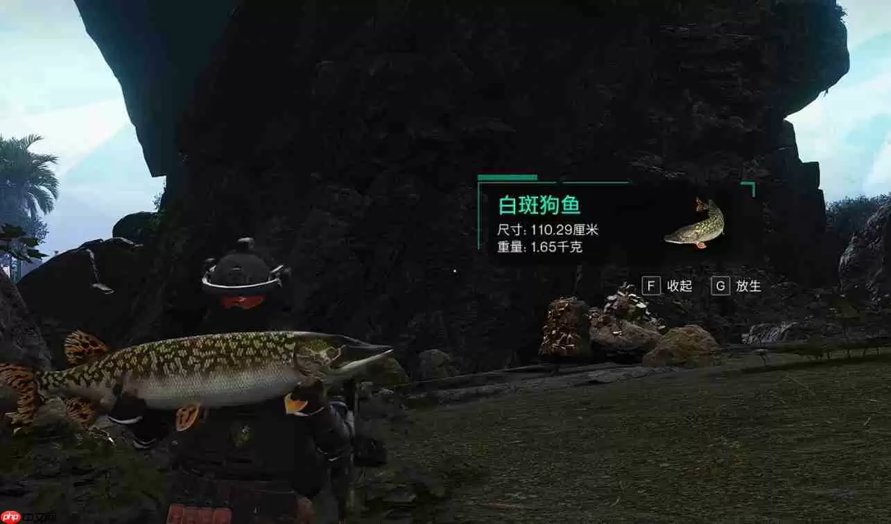 七日世界霜之白斑狗鱼怎么得-七日世界霜之白斑狗鱼获取攻略
