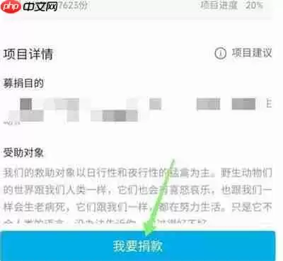 哔哩哔哩在哪里捐款