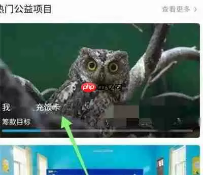 哔哩哔哩在哪里捐款