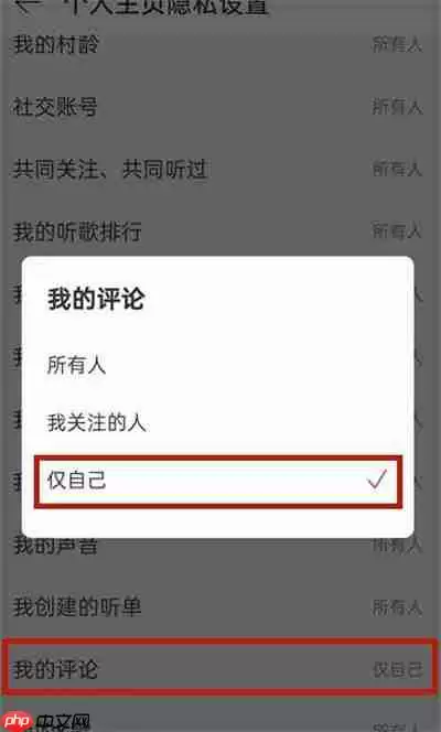 网易云音乐怎么不让别人看到我的评论