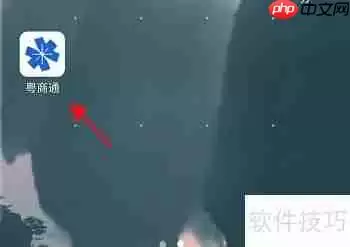 粤商通APP：小微企业数据库信息查询指南
