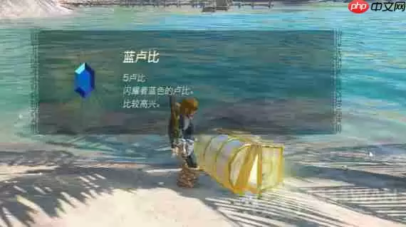 塞尔达传说王国之泪爸爸的蓝色衬衫在哪-爸爸的蓝色衬衫位置一览