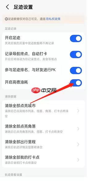 高德地图高德油耗怎么开启