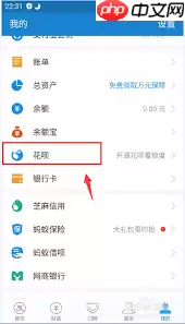 如何开通支付宝花呗