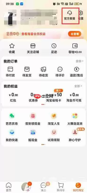 淘宝精选如何进入