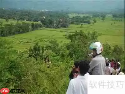 麦田怪圈之谜：外星人杰作还是人类恶作剧？